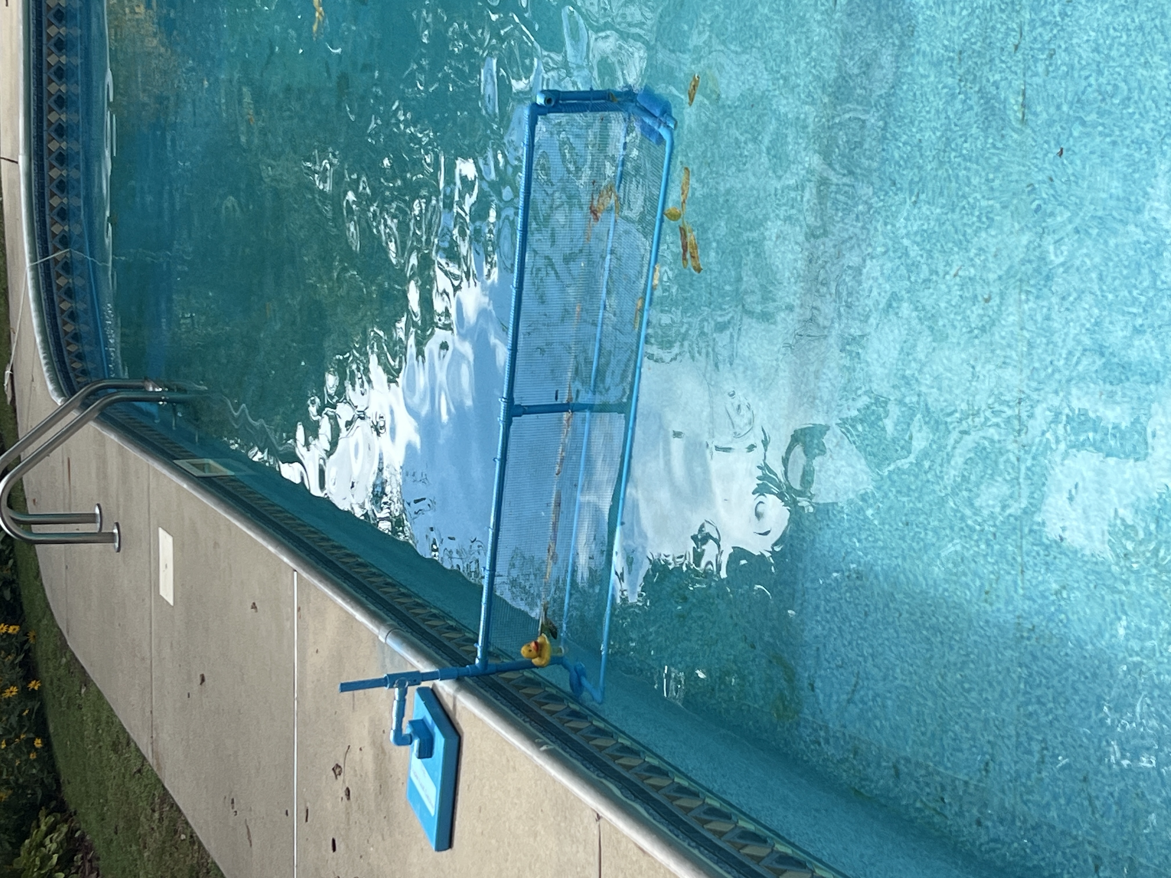 The Leaf Catcher device skimming leaves from a swimming pool